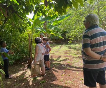 St. George's: Half-day spice and waterfall tour