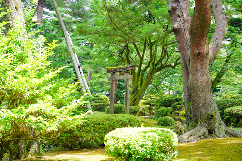 Excursão histórica a pé de meio dia em Kanazawa