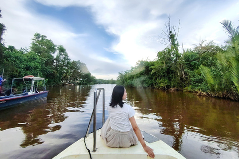 Kota Kinabalu: 4-Day Tour, Nature, River and City