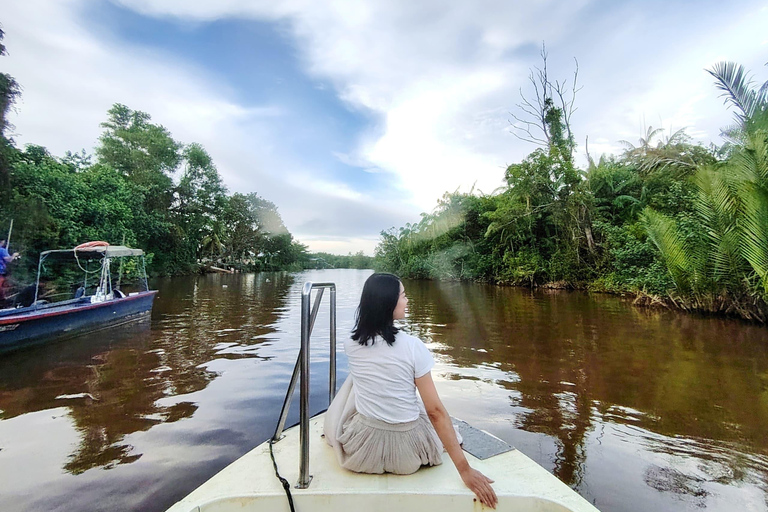 Kota Kinabalu: 4-Day Tour, Nature, River and City