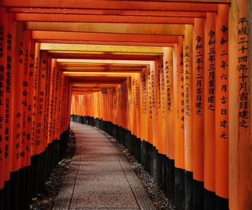 Kyoto Early Bird Tour Tokyo Round Trip Shinkansen Option