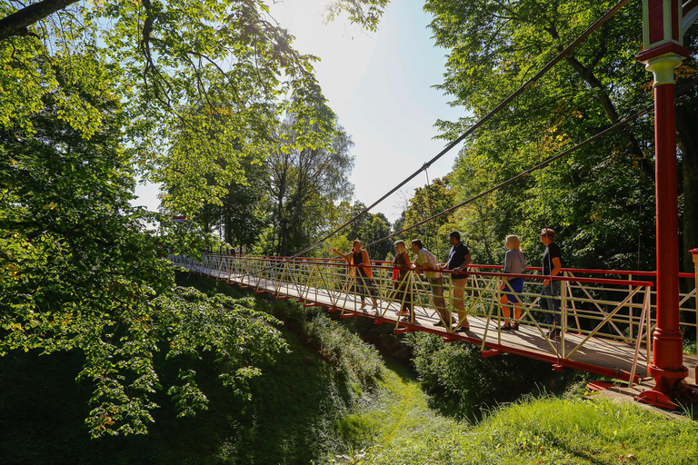 Sightseeing Transfer from Riga to Tallinn