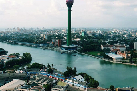 Muthurajawela Bird Watching Boat Tour & Colombo City Tour Tour from Bentota, Ahungalla, Hikkaduwa