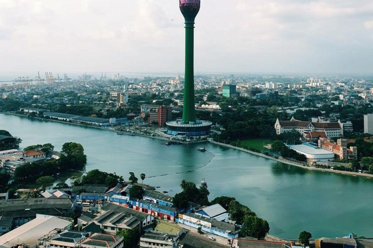Muthurajawela Bird Watching Boat Tour & Colombo City Tour Tour from Bentota, Ahungalla, Hikkaduwa