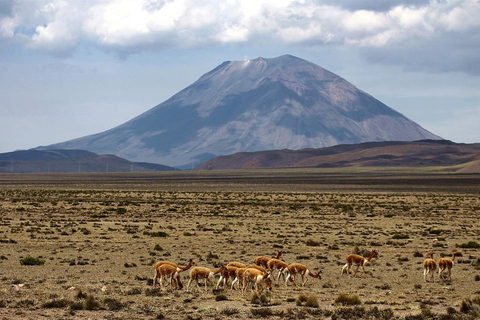 Äventyrsdag i Arequipa: Pillones vattenfall + klippskog