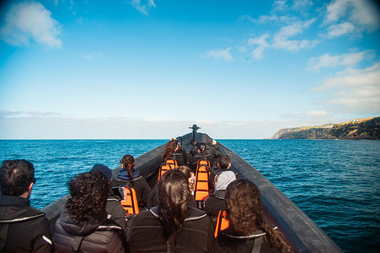 Isla de São Miguel: tour en barco por la costa norte salvajeRecorrido por la costa salvaje del norte - Tarde