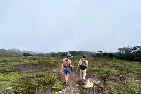 Tedo 7 Waterfalls Peak Adventure – Knuckles Mountain Range