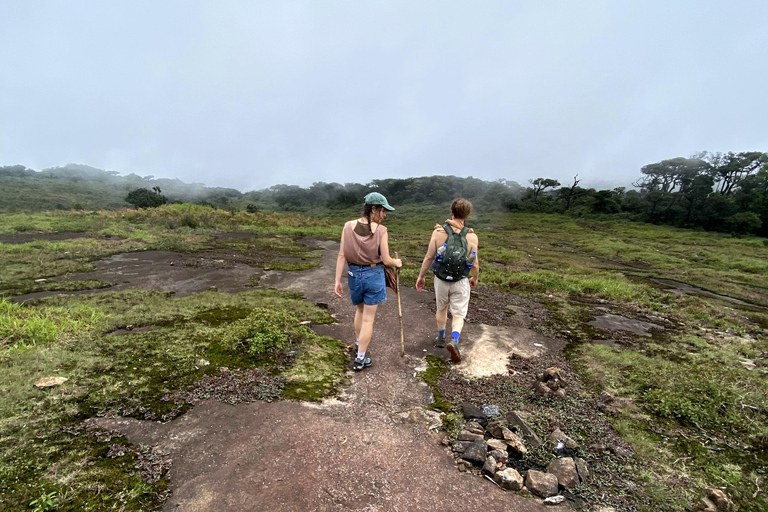 Tedo 7 Waterfalls Peak Adventure – Knuckles Mountain Range