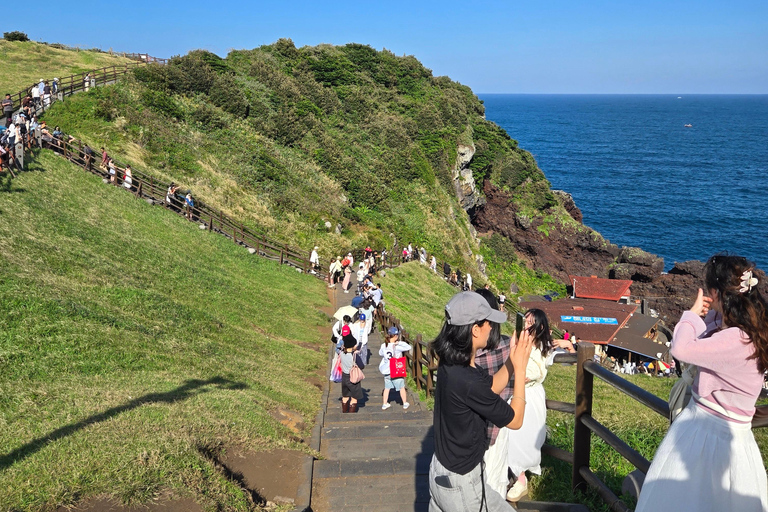 Jeju: Day Tour, Small Volcano & Landmark & UNESCO Heritage Private Day Tour 5hr (Just Car Charter/Not including ticket)