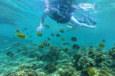 Punta Cana: Laguna Beach Tour with Swimming and Snorkeling