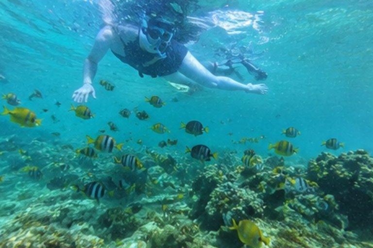 Punta Cana: Laguna Beach Tour with Swimming and Snorkeling