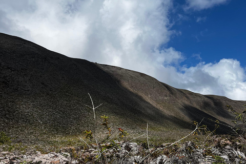Isabela Island: Guided tour of the Sulfur Mines and unique volcanic landscapes Isabela Island: Guided Tour of the Rio Tinto Mines and Unique Volcanic Landscapes
