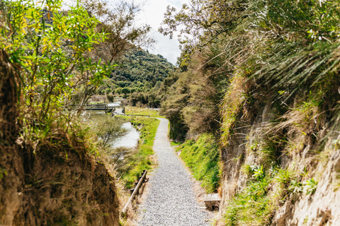 Rotorua: Waimangu Volcanic Valley Entry Ticket