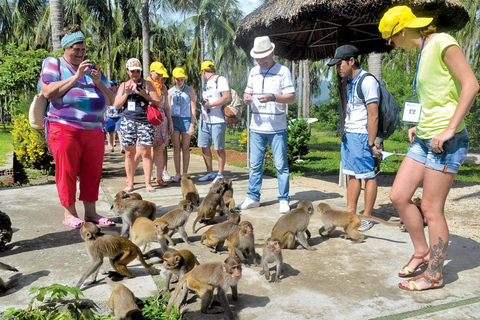 Ho Chi Minh: Explore the mangrove Can Gio forest full day