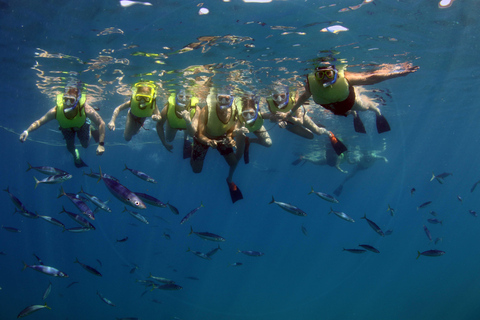 Oahu: Snorkeling & Dolphin Watch Cruise with Hawaiian Buffet Private: All-Inclusive Sunset Snorkel Cruise with Hot Buffet