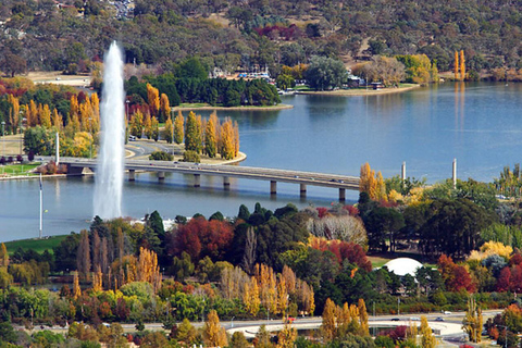 Dagsutflykt från Sydney till Canberra: Floriade &amp; lunchbuffé