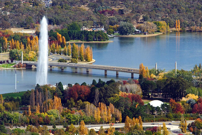 Dagtrip van Sydney naar Canberra: Floriade &amp; Lunchbuffet