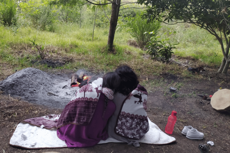 Amazonia Ecuador: Ayahuasca Ceremonie -Korte Retraite