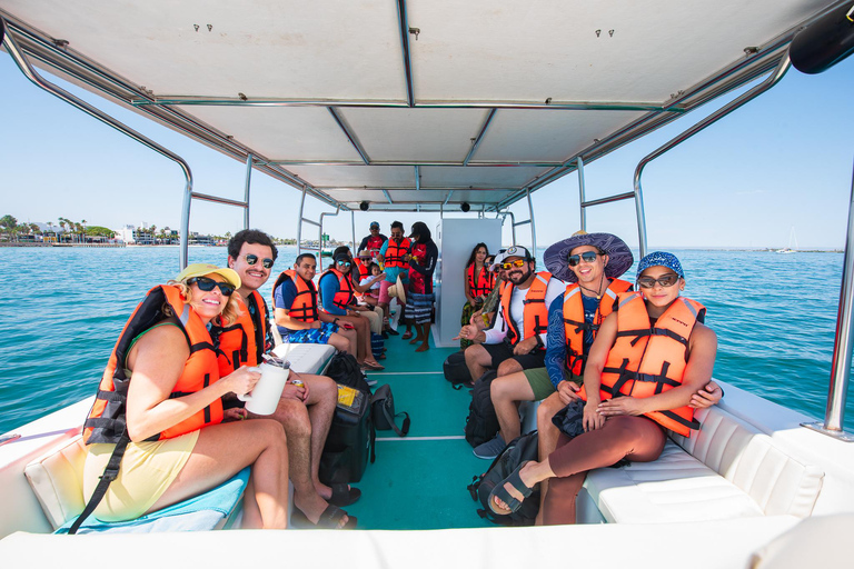 La Paz: Espiritu Santo Island Tour