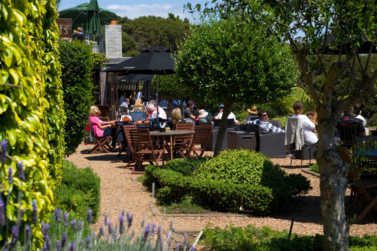 Île Waiheke : Circuit panoramique commenté PREMIUM Wine Tour