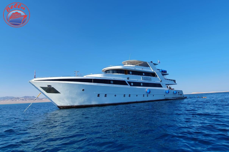 Sharm: Vip Snorkeling Cruise z międzynarodowym lunchem