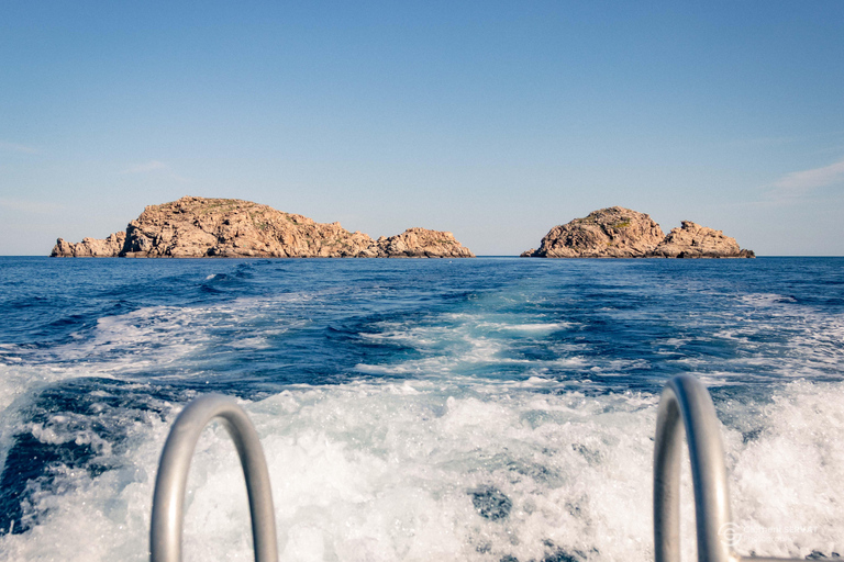 Porto-Vecchio: beginner diving in the Cerbicale Islands in the reserve