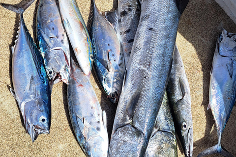 Pêche en haute mer