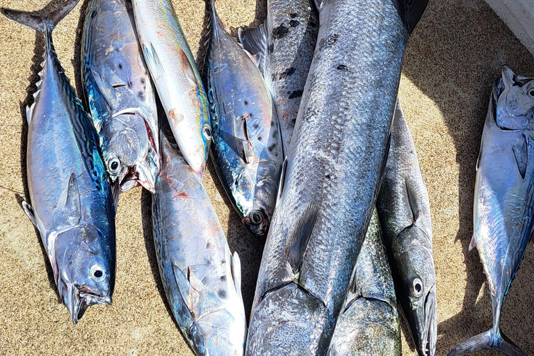 Pesca en alta mar