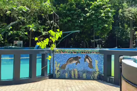 Private Tour in Manaus: Science Forest and Amazonas Theater