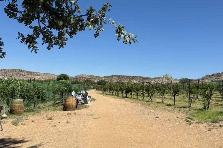 Sedona: 5-Hour Wine, Beer & Beyond Tasting Tour