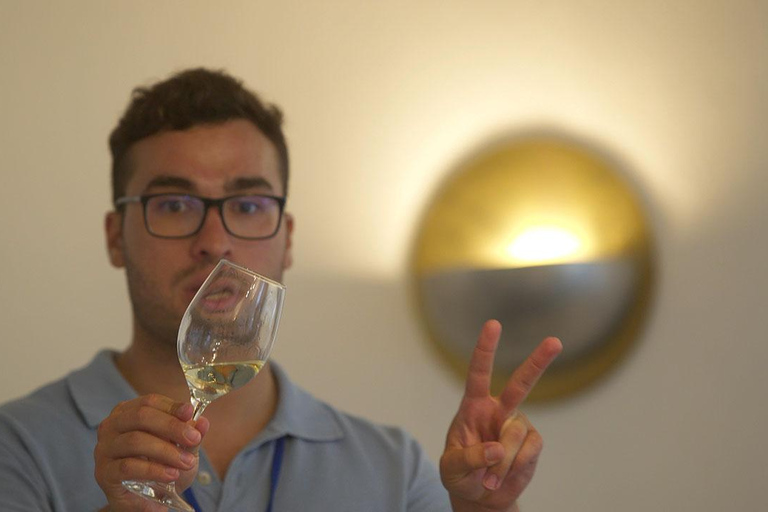 Santorini: tour de vino de medio díaTour vespertino privado