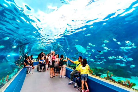 Cebu: Go-Karting + Ocean Park &amp; History Tour with LunchFrom Cebu: Go Kart + Ocean Park &amp; Hestorical Tour + Lunch