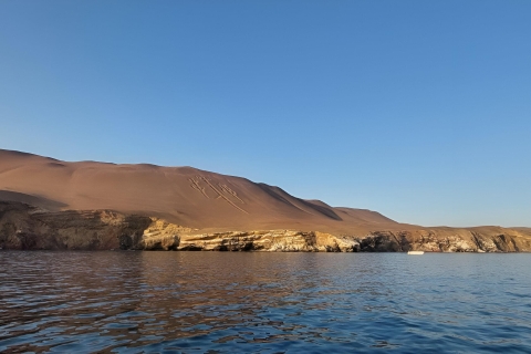 Von Paracas aus: Ballestas Island Marine Wildlife Watching
