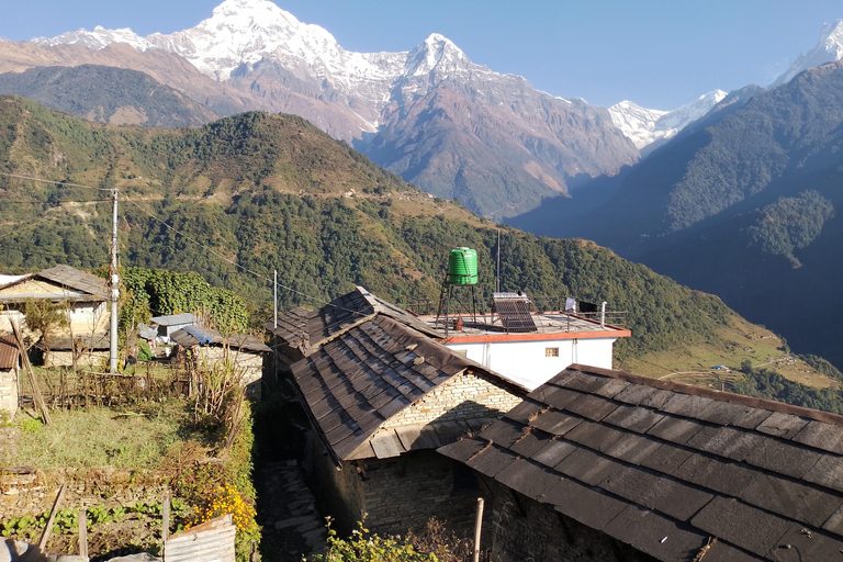 Nepal: 12 Days of Culture, Wildlife &amp; Himalayan Trekking