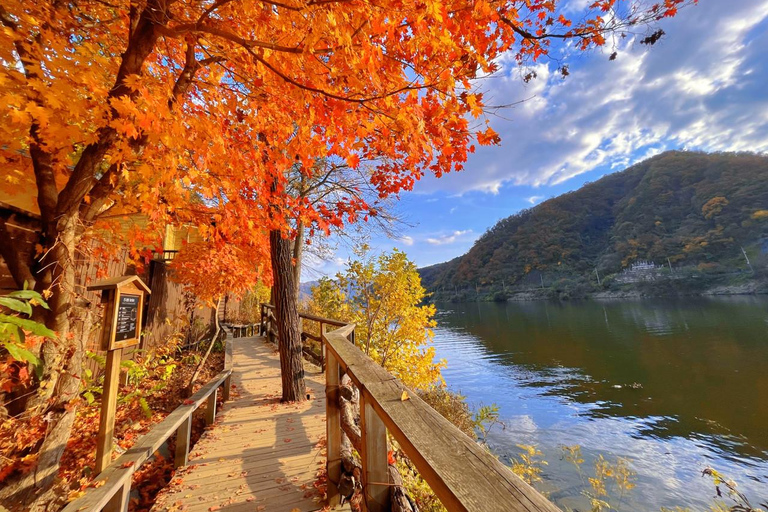 From Seoul: Nami Island, Korean Garden & Rail Bike Day Trip Private Tour with Railbike - Hotel Pickup