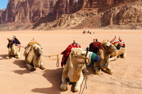 Explore Wadi Rum: Jeep Tour, Bed and Breakfast, and Dinner Explore Wadi Rum: Jeep Tour, Bed and Breakfast, and Dinner
