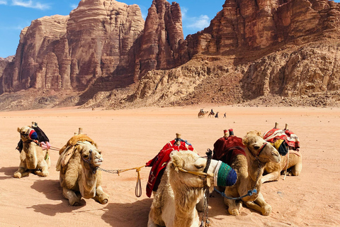 Explore Wadi Rum: Jeep Tour, Bed and Breakfast, and Dinner