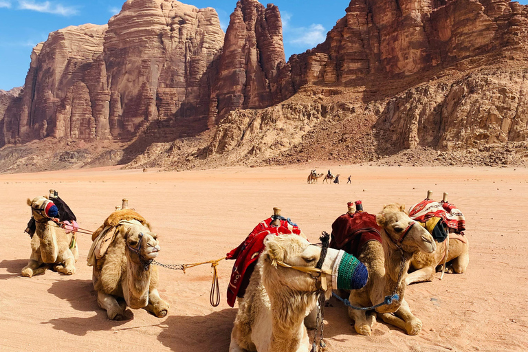 Explore Wadi Rum: Jeep Tour, Bed and Breakfast, and Dinner Explore Wadi Rum: Jeep Tour, Bed and Breakfast, and Dinner