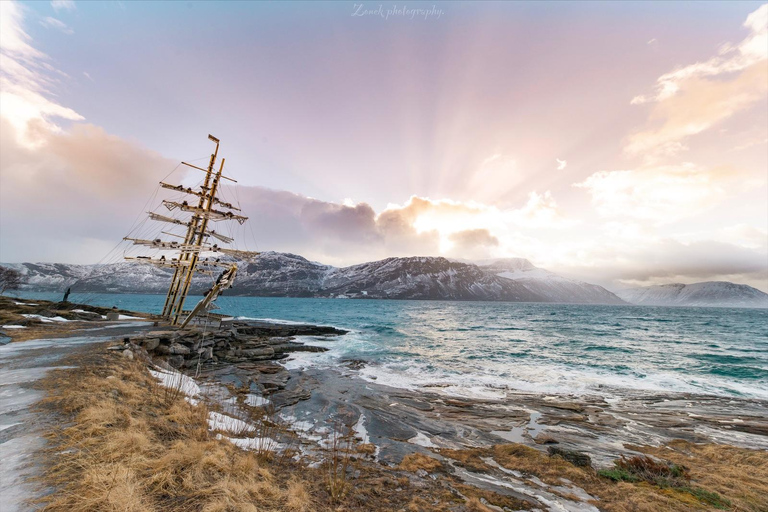 Depuis Kiruna : Excursion dans la ville de Narvik et dans le fjord