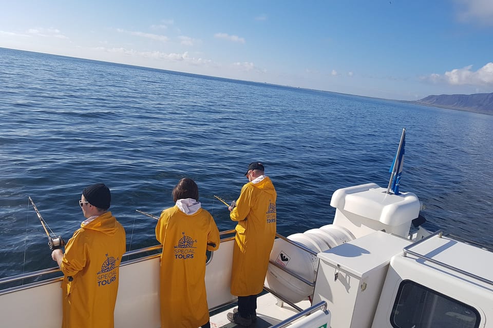 Reykjavík: pesca nel mare d'Islanda