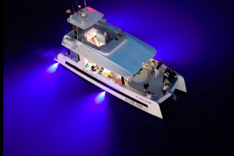 Palma: Deluxe Catamaran with Snacks, Drink, SUP & Snorkeling