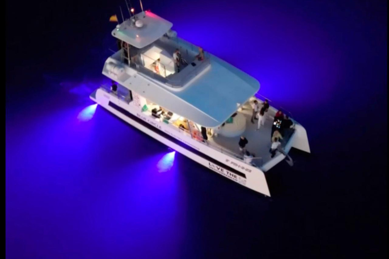 Palma: Deluxe Catamaran with Snacks, Drink, SUP & Snorkeling