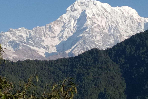 Easy Day Hike : Annapurna view from Pokhara