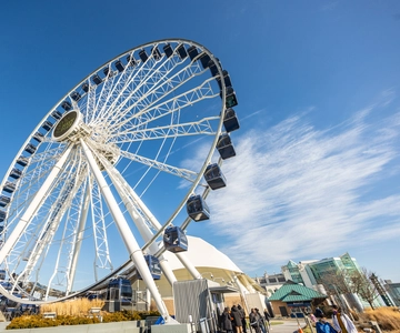 Билет на колесо обозрения Navy Pier Centennial Wheel