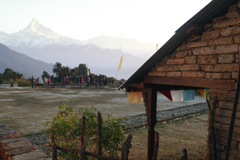 De Pokhara: Caminhada de um dia no Acampamento Australiano com guia local