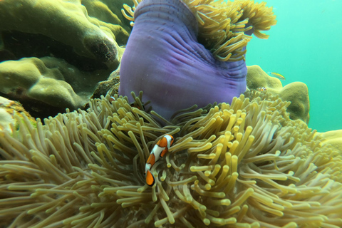 Ko Lanta: Smaragdhöhle und 4 Inseln Tour mit dem Longtailboot