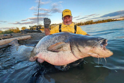 Catfish fishing in the Camargue and a boat tour of the Pont d'Avignon
