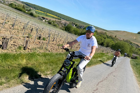 Champagne Vineyards: Tour through the heart of the vineyards on a fat tire e-bike Champagne Vineyards: Tour through the Heart of the Vines on a Fat E-Bike