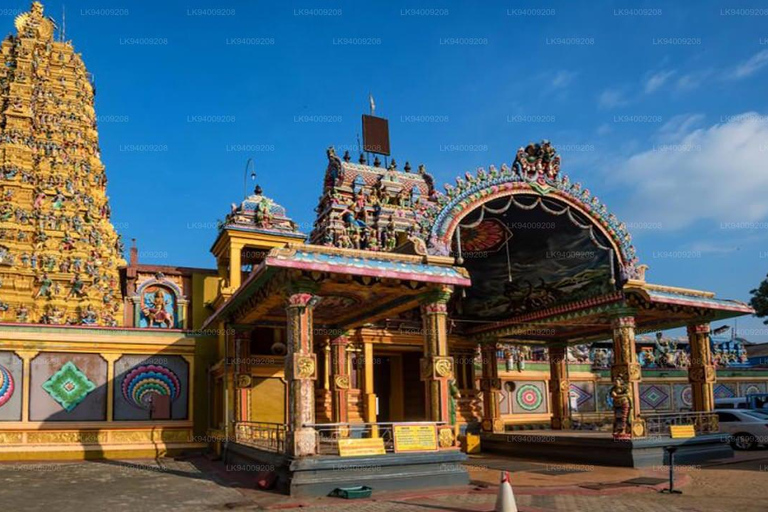 Sigiriya, Dambulla and Habarana Day Trip