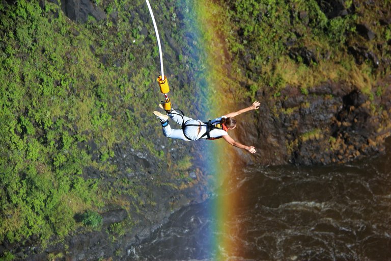 Skocz na bungee z mostu nad Wodospadem Wiktorii